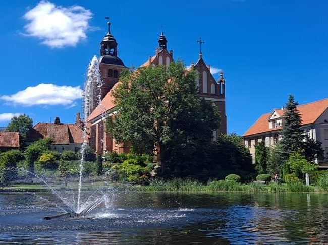 Lodziarnia Barczewo – przytulne wnętrze z szerokim wyborem smaków lodów rzemieślniczych.